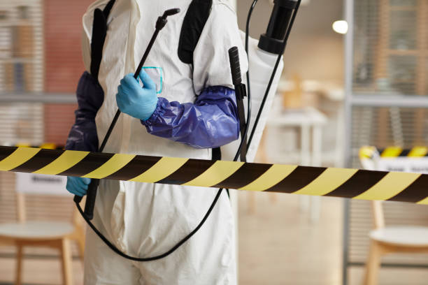 Professional Sewage Cleanup technician working in Plymouth, MA